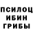 Псилоцибиновые грибы Psilocybine cubensis Jane But