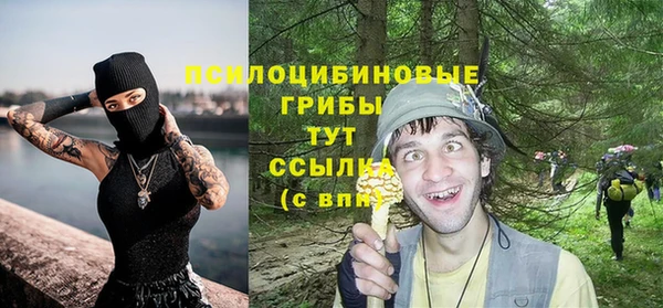 мдпв Бородино
