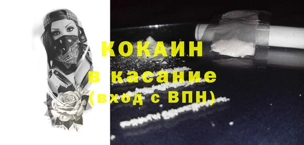 мдпв Бородино