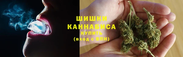 мдпв Бородино
