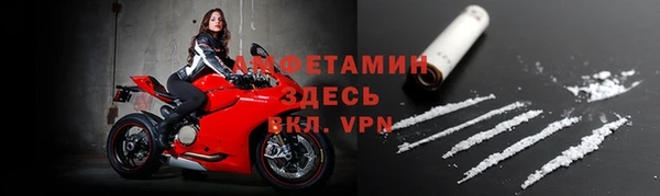мдпв Бородино