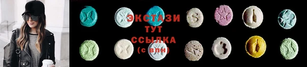 мдпв Бородино