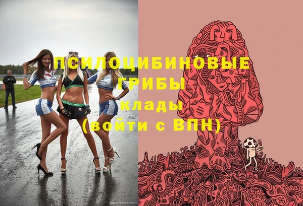 мдпв Бородино