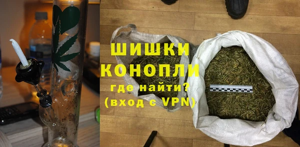 мдпв Бородино
