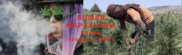 мдпв Бородино