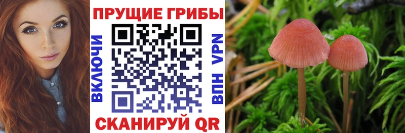 кракен сайт  Балахна  Галлюциногенные грибы мухоморы 